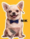 Nik