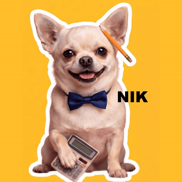 Nik, o assistente financeiro